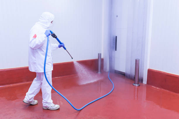 Best Solar Panel Cleaning  in Ilchester, MD